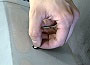 3D Inspection - Marking